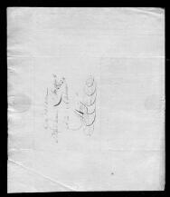 Thumbnail van scan 523_5545_000_01228_000_0_0003